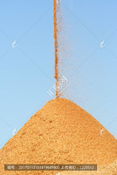 木屑