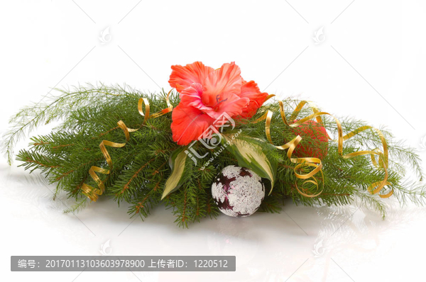 圣誕節(jié)的作文