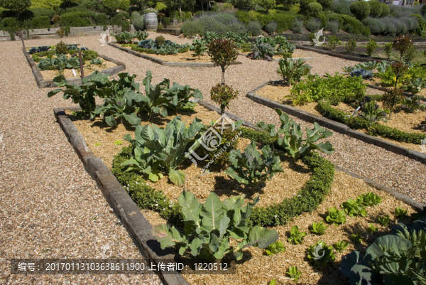 廚房花園