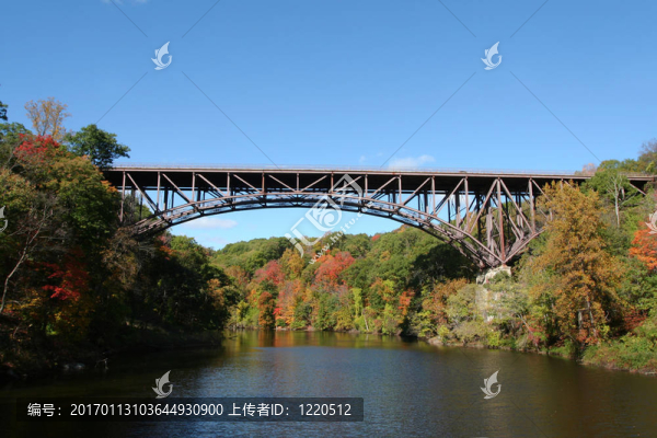 波波洛本橋橋