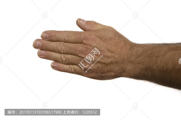 紙手