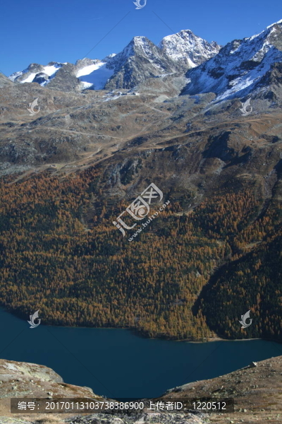 Silvaplanasee；Bernina