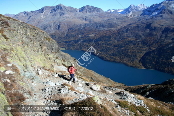 Silvaplanasee；Piz,Surlej