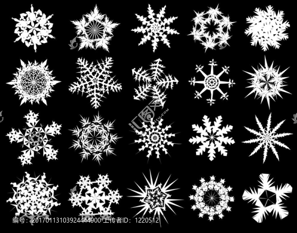 Snowflake的選擇