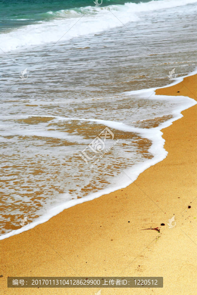 海洋沙灘桑迪