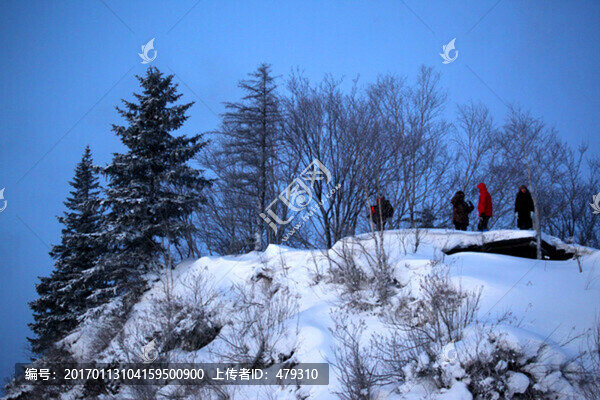 林海雪原,雪鄉(xiāng),白雪,冬天,山