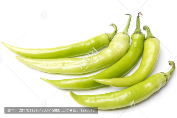 青椒