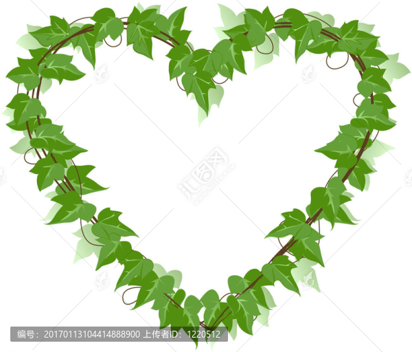 常春藤葉的心