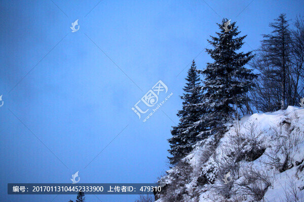 林海雪原,雪鄉(xiāng),白雪,冬天,山