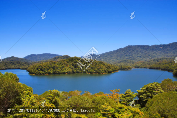 Copperlode,Dam（湖莫里斯）