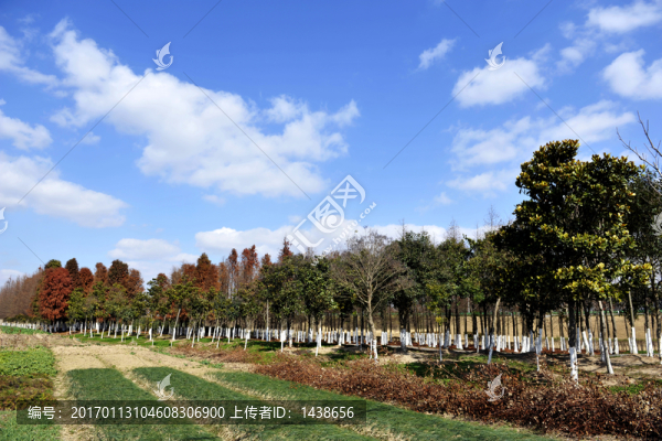 田間地頭