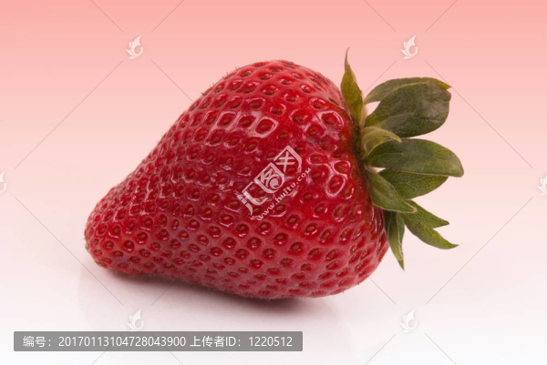 草莓-匯圖網(wǎng) www.fosd68.com 草莓