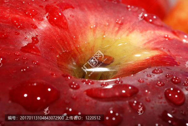 紅蘋果