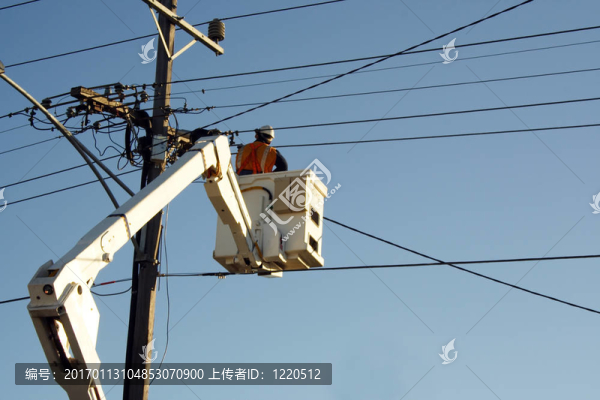 櫻桃采摘