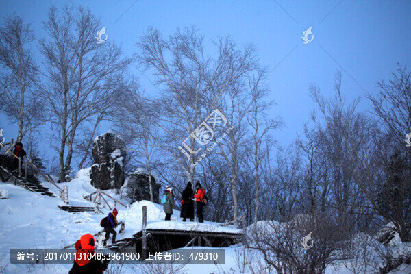 林海雪原