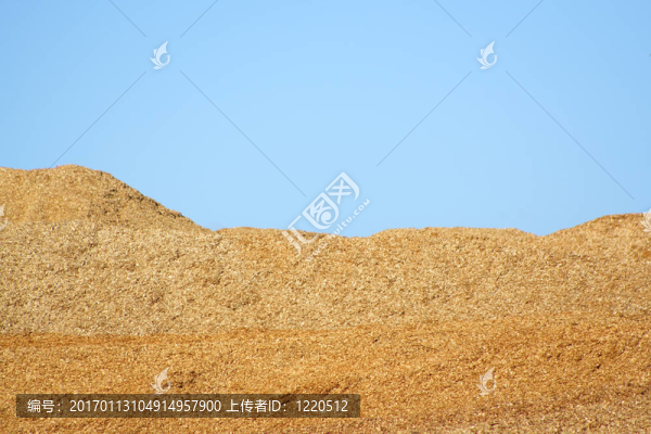 木屑