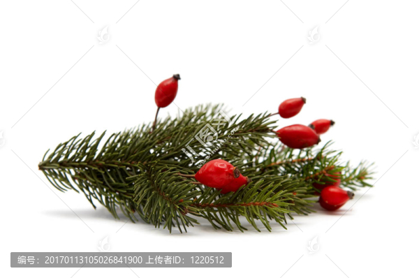 紅綠色的圣誕布置