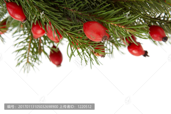 紅綠色的圣誕布置