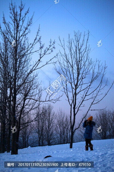 林海雪原,雪鄉(xiāng)