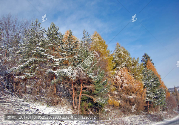 第一場(chǎng)雪