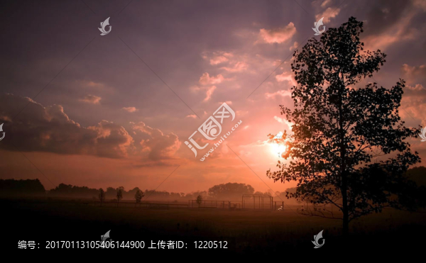 清晨的場景
