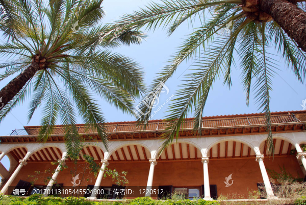 異國情調(diào)的房子