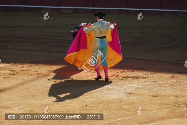 在塞維利亞的斗牛競技場馬特多公牛；西班牙。