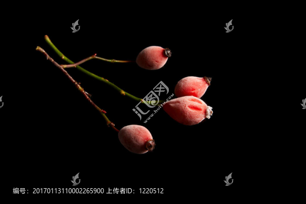 玫瑰果