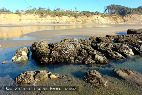 巖石的海灘上