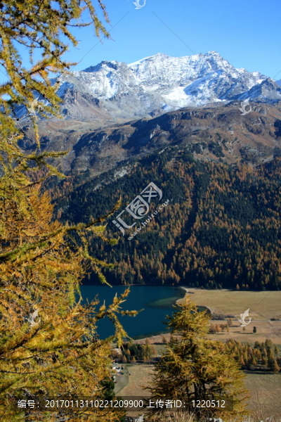 科爾瓦奇峰
