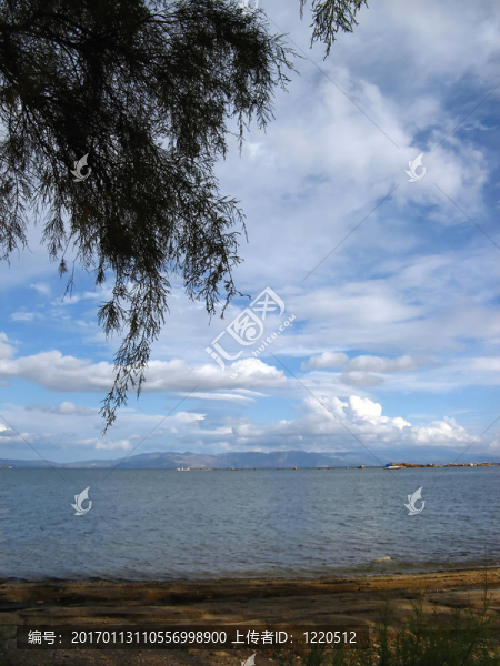 海灘