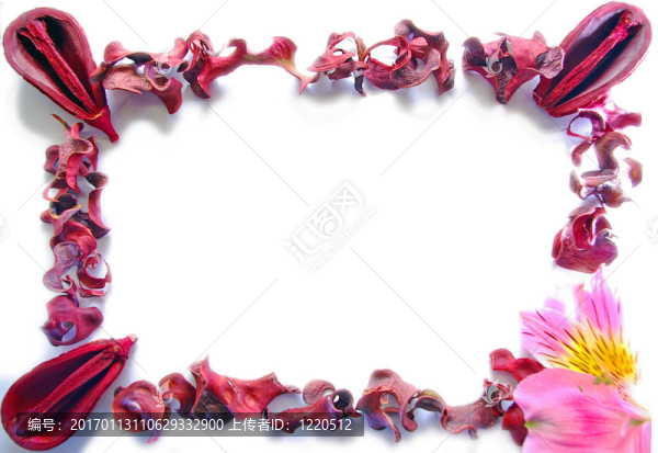 干葉；堅(jiān)果和花的框架