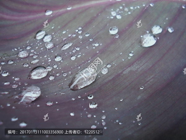 一滴一滴-匯圖網(wǎng) www.fosd68.com 一滴一滴