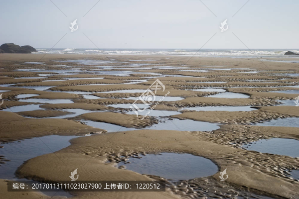 海灘上的潮池