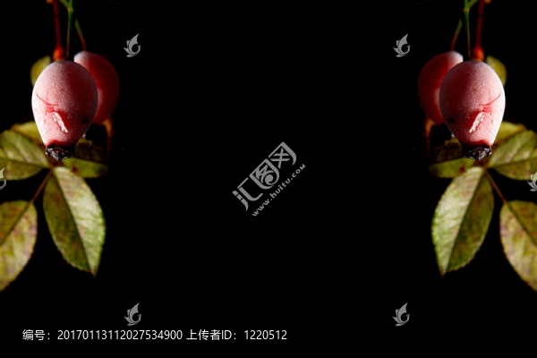 玫瑰果