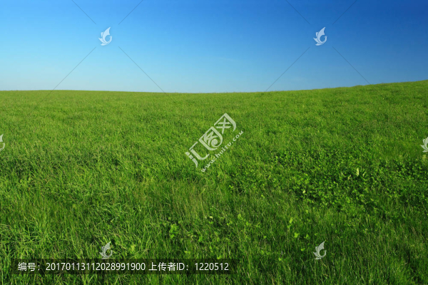 開放的領(lǐng)域