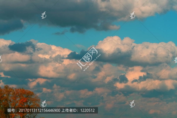 秋天的樹和云