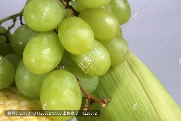 葡萄玉米