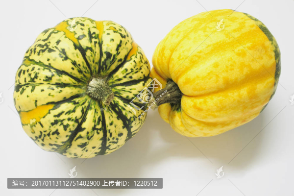 綠色和黃色的觀賞南瓜