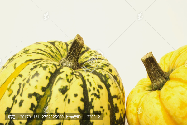 綠色和黃色的觀賞南瓜