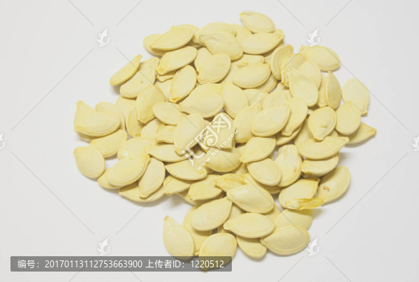 南瓜種子