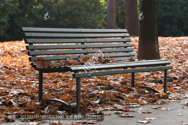 公園里的長凳