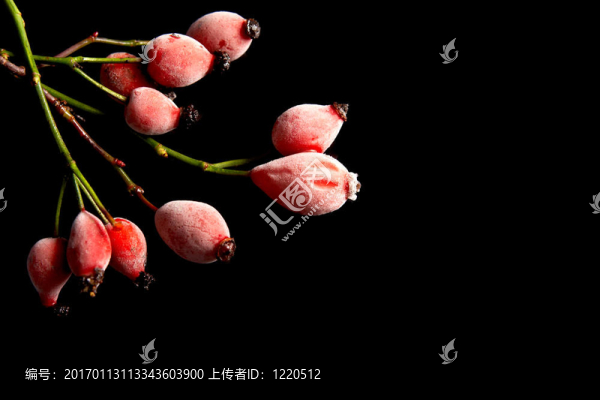 玫瑰果