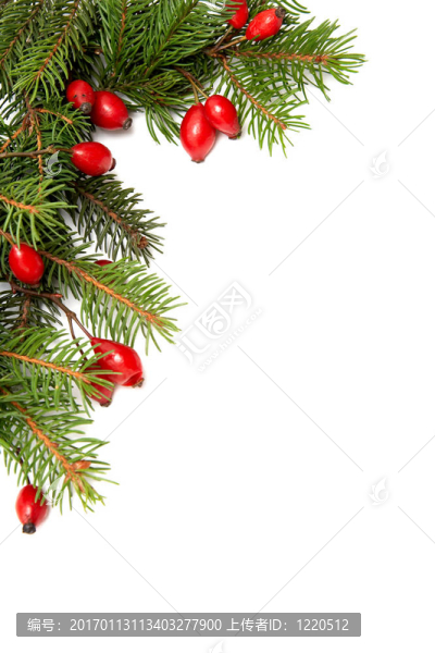 紅綠色的圣誕arrag