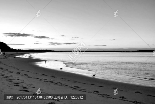 彎曲的海灘日落