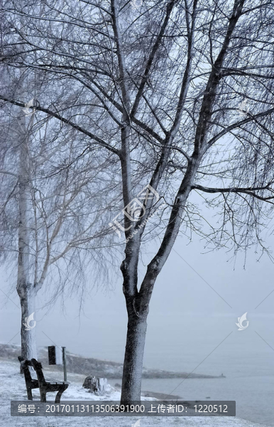 河岸的冬天