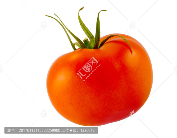紅番茄