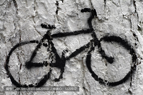 bicicle