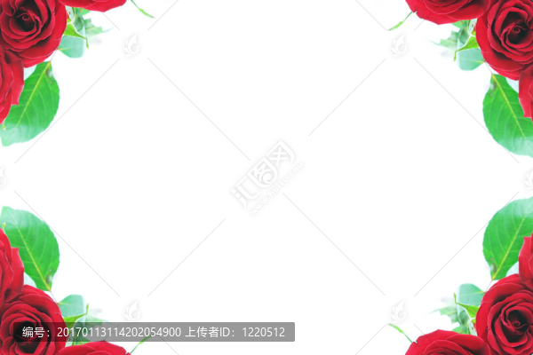 角落里的紅玫瑰