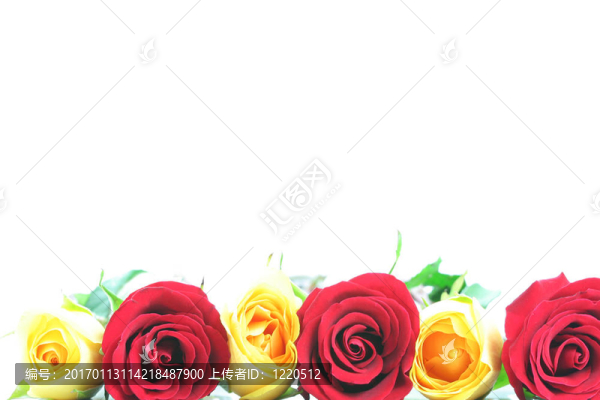 花香玫瑰邊框